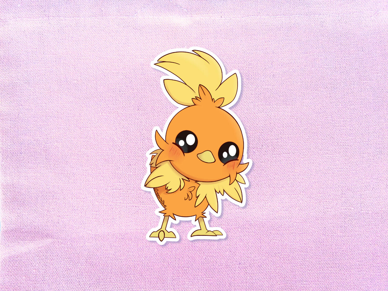 Torchic Torchic